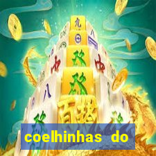 coelhinhas do brasil recife