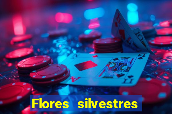 Flores silvestres brasileiras 25