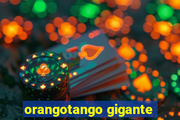 orangotango gigante