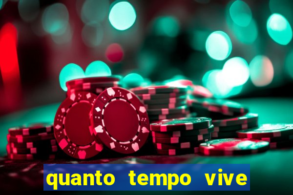 quanto tempo vive um passarinho bem-te-vi