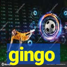 gingo